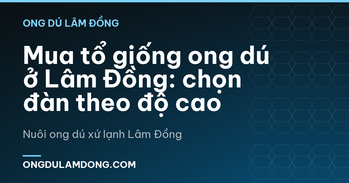 Mua tổ giống ong dú ở Lâm Đồng: chọn đàn theo độ cao