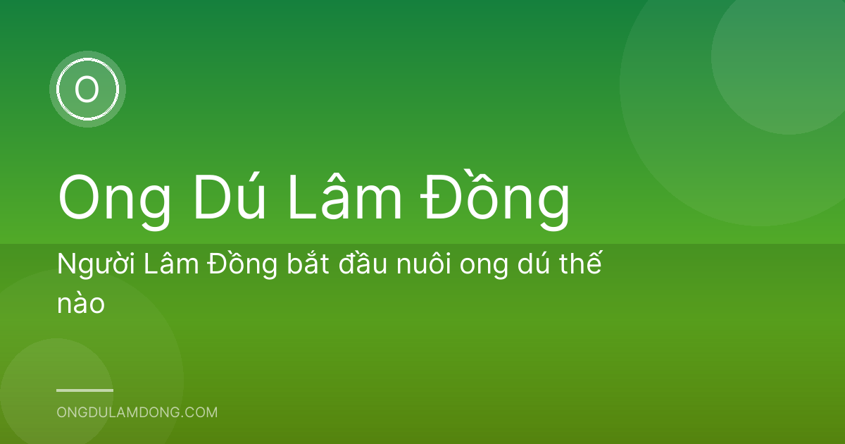 Người Lâm Đồng bắt đầu nuôi ong dú thế nào