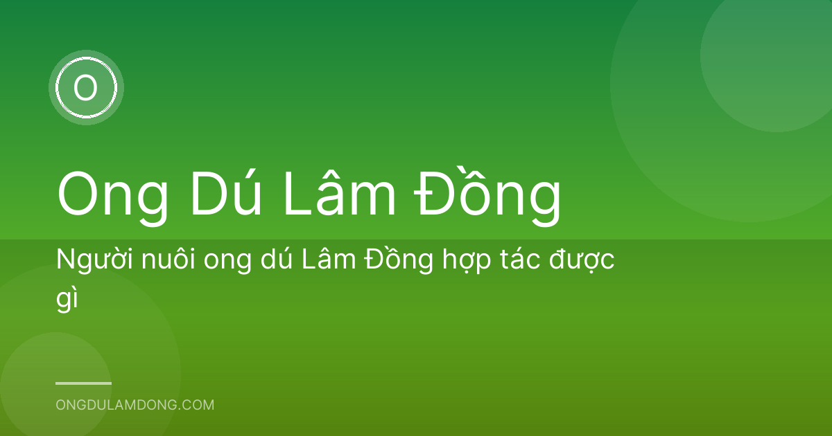 Người nuôi ong dú Lâm Đồng hợp tác được gì