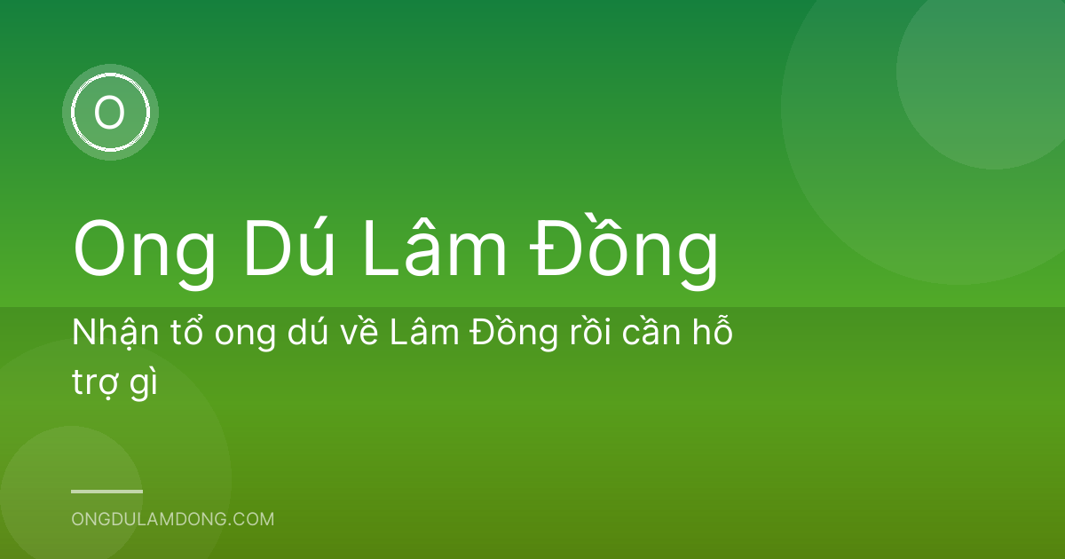 Nhận tổ ong dú về Lâm Đồng rồi cần hỗ trợ gì
