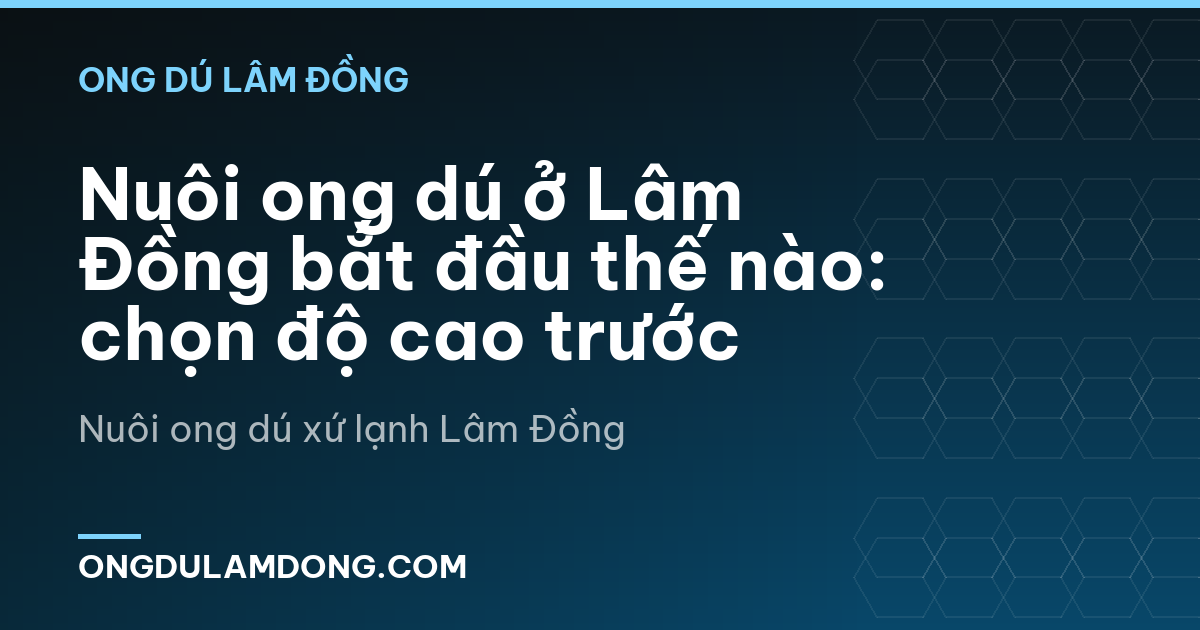 Nuôi ong dú ở Lâm Đồng bắt đầu thế nào: chọn độ cao trước