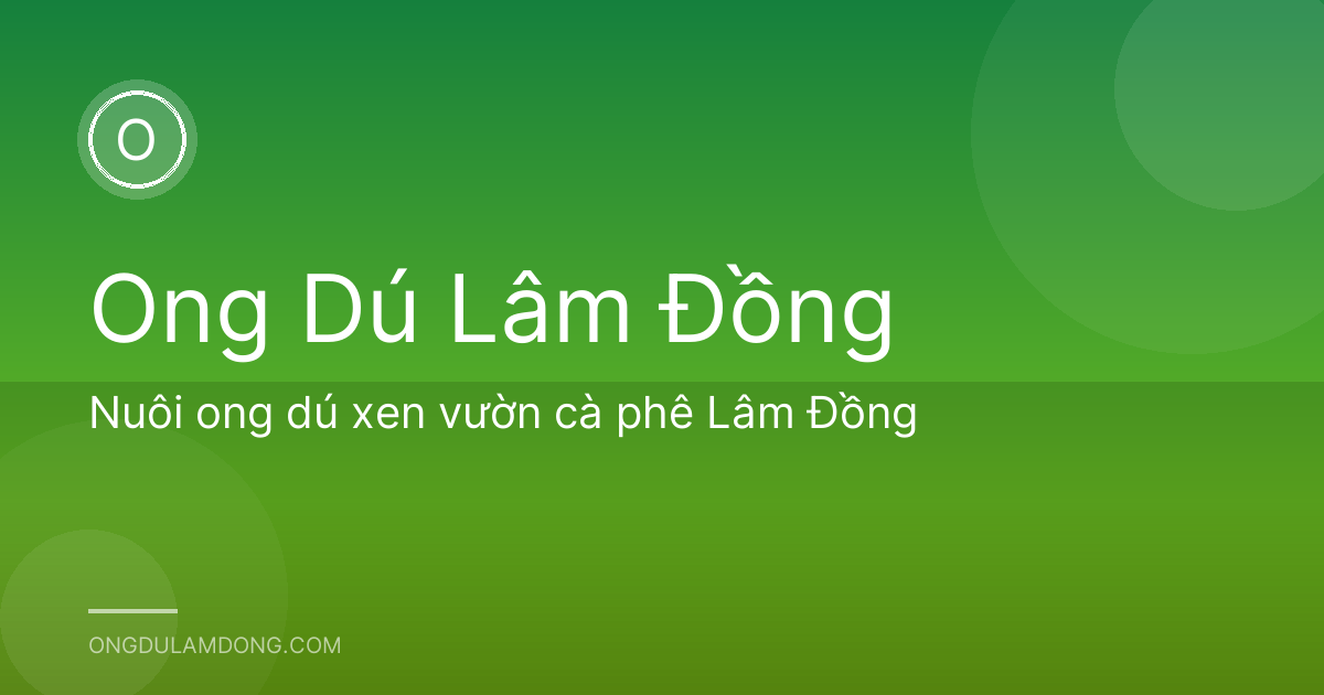 Nuôi ong dú xen vườn cà phê Lâm Đồng