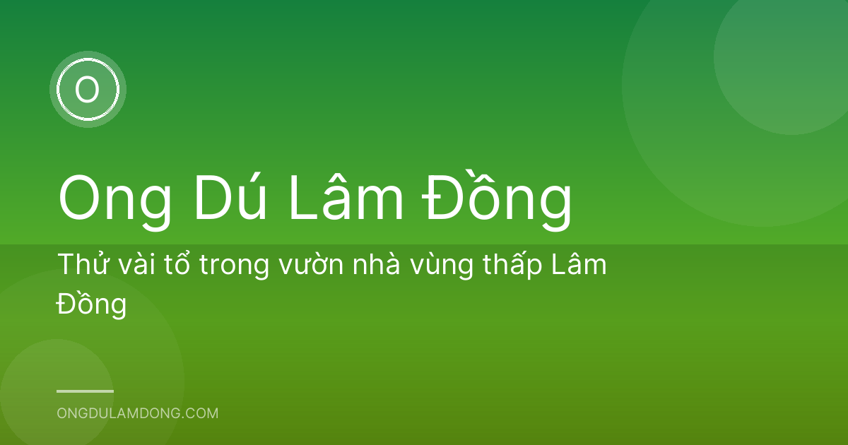 Thử vài tổ trong vườn nhà vùng thấp Lâm Đồng
